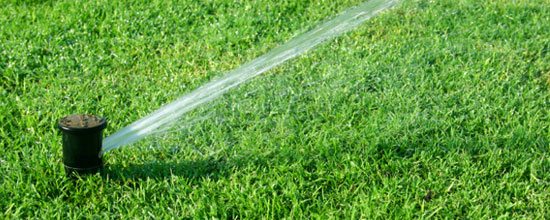 irrigation filters for turf